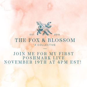 Free People We The Free Lace Cream and White Striped Top Size Large